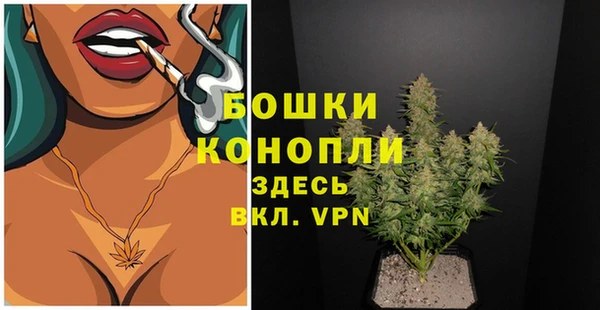 молекула духа Кинешма