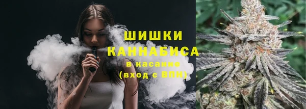 PSILOCYBIN Киренск
