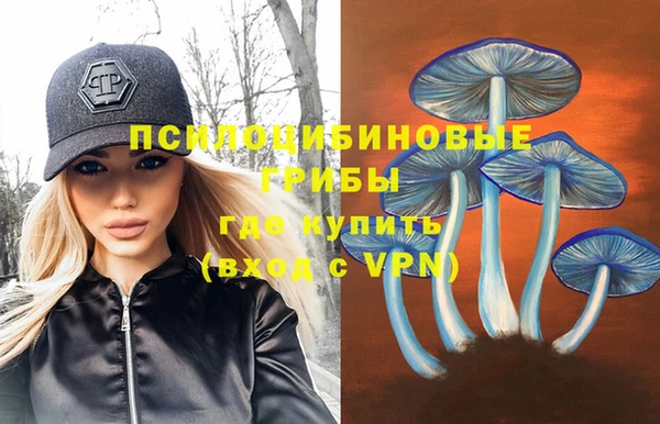 PSILOCYBIN Киренск