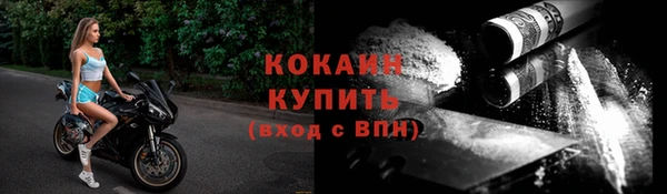 PSILOCYBIN Киренск