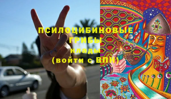 молекула духа Кинешма