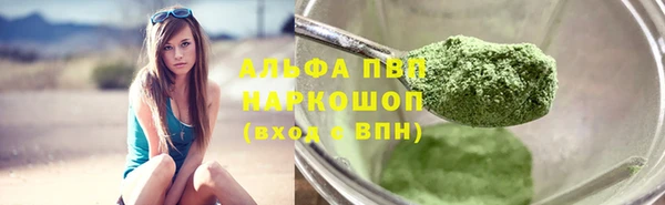PSILOCYBIN Киренск
