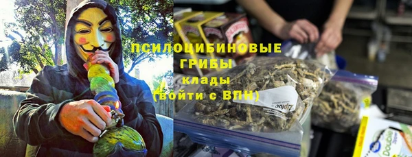 PSILOCYBIN Киренск