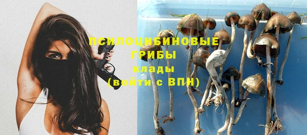 молекула духа Кинешма