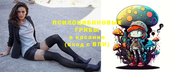 PSILOCYBIN Киренск