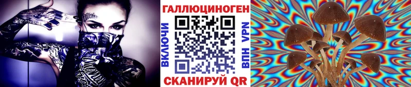 Купить закладки  Шимановск  Галлюциногенные грибы GOLDEN TEACHER 